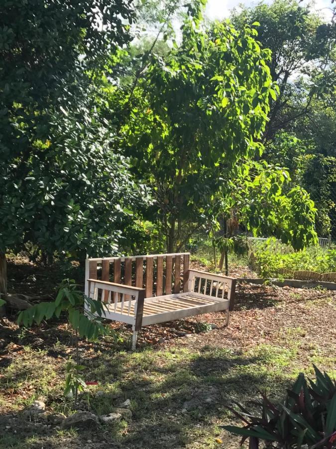 Jardin Des Anges-Bungalows Creoles Et Studio Льо Мул Екстериор снимка