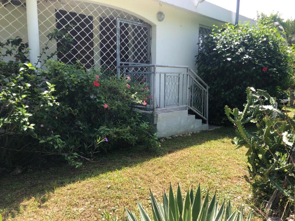 Jardin Des Anges-Bungalows Creoles Et Studio Льо Мул Екстериор снимка