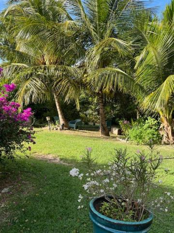Jardin Des Anges-Bungalows Creoles Et Studio Льо Мул Екстериор снимка